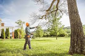 How Our Tree Care Process Works  in  Ingram, TX