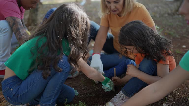 Tree and Shrub Care in Ingram, TX