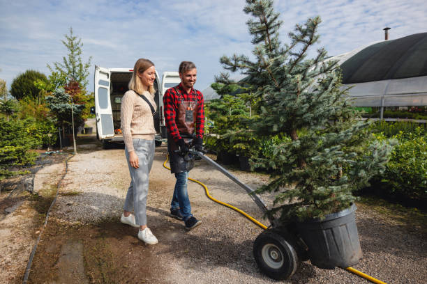 Best Lawn Pest Prevention  in Ingram, TX